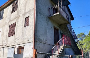 thumb_3419639_img_20241103_100233.jpg