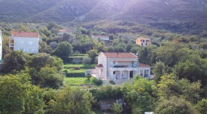 thumb_3419900_dji_0590.jpg