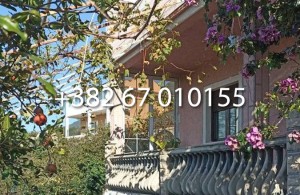thumb_3422702_7.jpg
