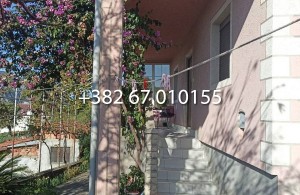 thumb_3422702_8.jpg