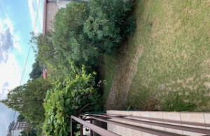 thumb_3423698_image4.jpeg