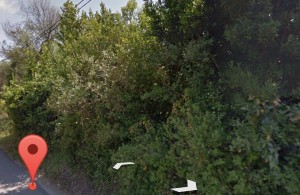 thumb_3424639_screenshot_20241109_222625_maps-2.jpg