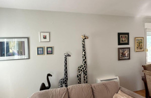 thumb_3434013_11.jpg