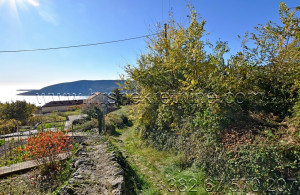 thumb_3436007_hrs_nekretnine_prodaja_plac_trebesinj_herceg-novi--7-.jpg