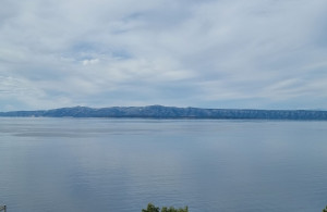 thumb_3436047_3.jpg