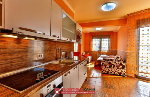thumb_3437410_penthouse-rafailovici-kamin_11.jpg