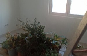 thumb_3439163_4r.jpg