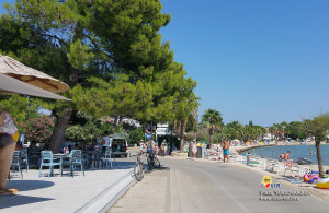 thumb_3448423_plaza-radovanjica-006.jpg