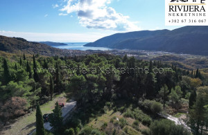thumb_3449054_nd_plot_land_herceg_novi_rivijera_nekretnine_oglasi_--1-.jpg