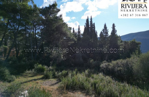 thumb_3449054_nd_plot_land_herceg_novi_rivijera_nekretnine_oglasi_--2-.jpg
