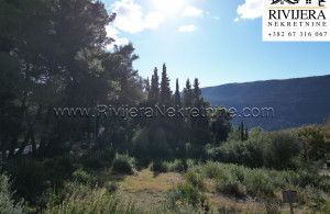 thumb_3449054_nd_plot_land_herceg_novi_rivijera_nekretnine_oglasi_--3-.jpg