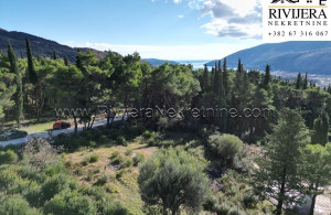 thumb_3449054_nd_plot_land_herceg_novi_rivijera_nekretnine_oglasi_--4-.jpg
