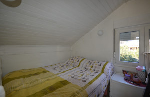 thumb_3450934_dsc_0008.jpg