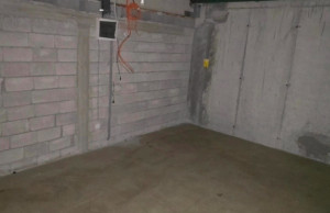 thumb_3454360_img_0681.jpeg