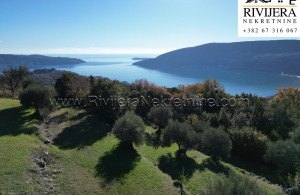 thumb_3455940_ot_land_herceg_novi_rivijera_nekretnine_oglasi_sale_--1-.jpg