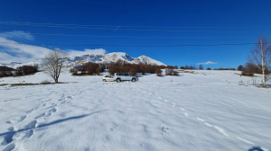 thumb_3458564_zabljak-3.jpg