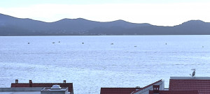 thumb_3459336_9.jpg