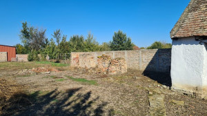 thumb_3460269_10.jpg