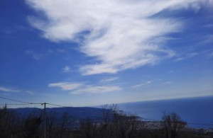 thumb_3460348_13.jpg