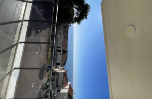 thumb_3460397_img_8328rr.jpeg