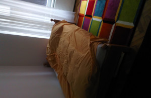 thumb_3461347_dsc_0137.jpg