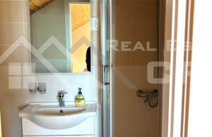 thumb_3462682_artment_with_a_terrace_and_a_residential_loft_for_sale_3.jpg