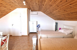 thumb_3462682_rtment_with_a_terrace_and_a_residential_loft_for_sale_8.jpeg