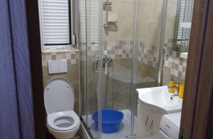 thumb_3464862_img_4774.jpg