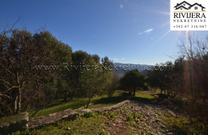thumb_3465320_plac_kuca_sale_house_rivijera_nekretnine_oglasi_ads_--4-.jpg