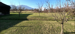 thumb_3468139_img_7378.jpeg
