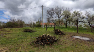thumb_3475804_9.jpg