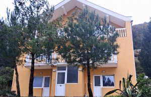 thumb_3475822_kavac01.jpg
