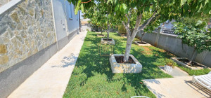 thumb_3477328_5.jpg