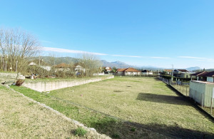 thumb_3480812_de30a762-851b-4543-9876-bf4afe9fb746.jpeg