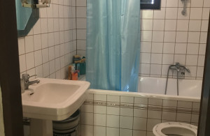 thumb_3481761_img_5055r.jpeg