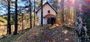 thumb_3481902_09.jpg