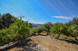 thumb_3483571_svetionik-nekretnine-7334.jpg