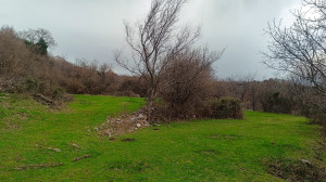 thumb_3485688_img-20250201-wa0004.jpg