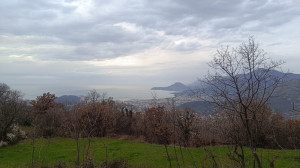 thumb_3485688_img-20250201-wa0007.jpg