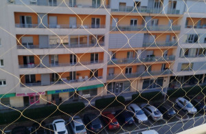 thumb_3489537_img_8911.jpg