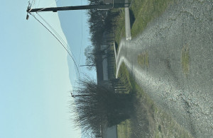 thumb_3492759_img_8686.jpeg