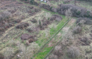 thumb_3494754_dji_fly_20250208_163618_973_1739046982322_photorrr.jpeg