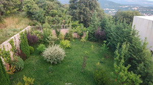 thumb_3495903_19.jpeg