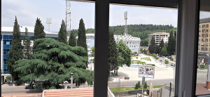 thumb_3497524_1.jpg