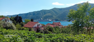 thumb_3498550_20250525_151724.jpg