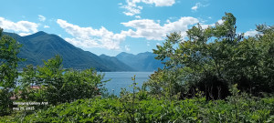 thumb_3498550_20250525_151749.jpg
