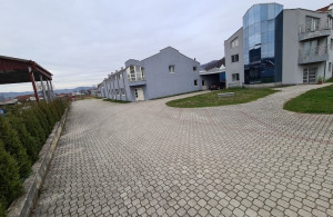 thumb_3499471_img_4381.jpeg