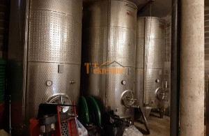 thumb_3500685_vinograd-32000-m2-slatina-10.jpg