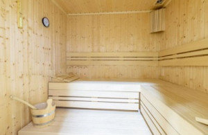 thumb_3500918_dedinjesauna.jpg