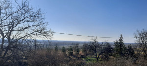 thumb_3500922_10.jpg
